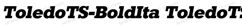 ToledoTS-BoldIta ToledoTS-BoldIta字体转换